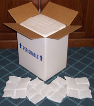 foam insulated shipping boxes