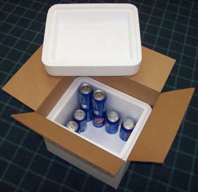 Cardboard box with styrofoam insulation holding blue cans on a grid background